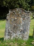 image of grave number 305332